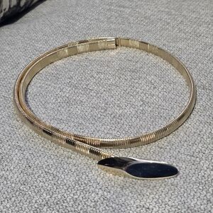 Gold Snake-Inspired Belt